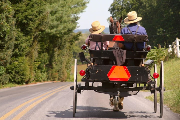 Premium Amish Country Tour with Amish Farm & House Visit - Photo 1 of 13